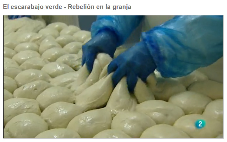 Captura del reportaje 'Rebelión en la granja' de TVE en la que se observa el proceso de preparación del seitán. 